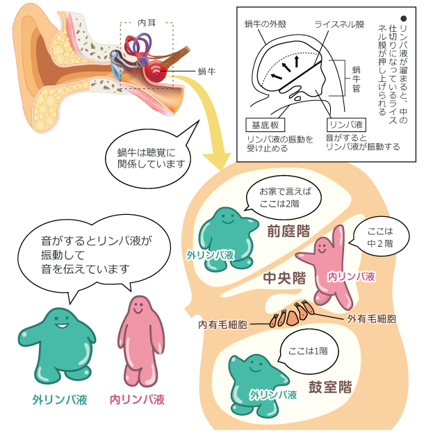 頭 が 一瞬 ぐらっと する