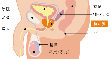 図解