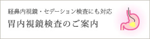 胃内視鏡について