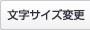文字サイズ