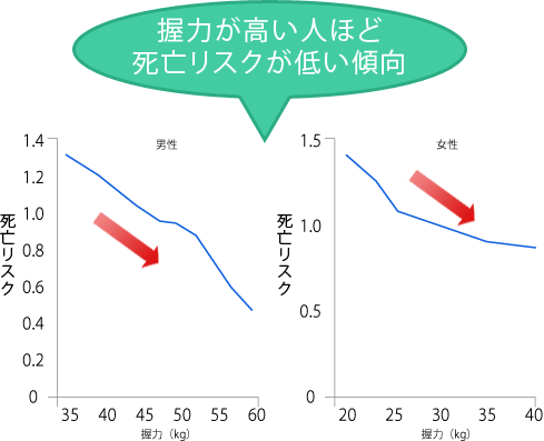 握力が高い人ほど死亡リスクが低い傾向