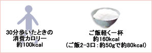 カロリー比較