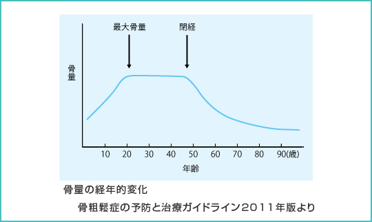 骨量の経年的変化