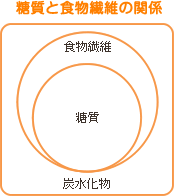 糖質と食物繊維の関係