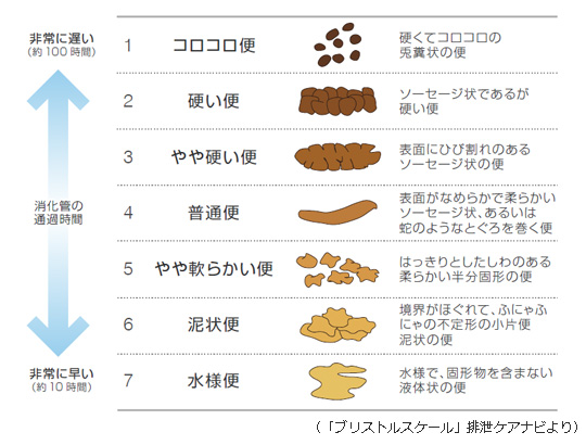 幸せは腸から