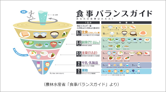食事バランスガイド