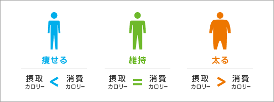 食べ過ぎ・飲みすぎによる摂取カロリー