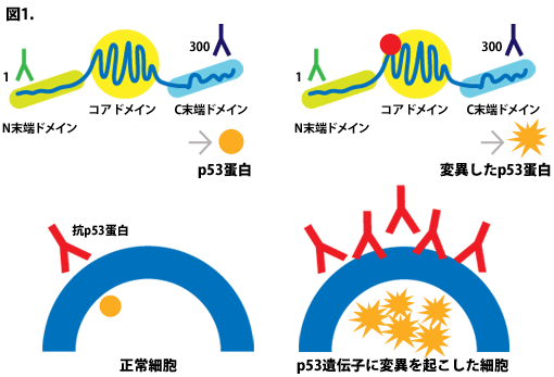 図1