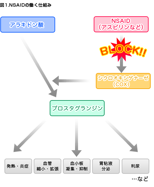 図1・NSAIDの働く仕組み