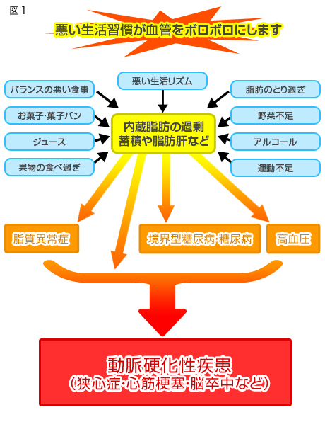 今の生活習慣が老後を決めてしまうかもしれません 健康的な生活習慣で血管を活き活き 同友会メディカルニュース