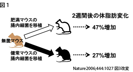 図1