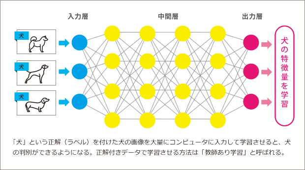 犬を学習するディープニューラルネットワーク