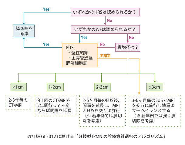 分枝型・混合型ＩＰＭＮの診療アルゴリズム