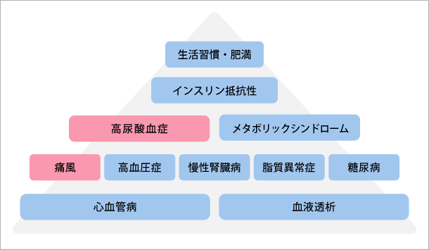 図3:高尿酸血症を中心に見たメタボリックドミノ概念図