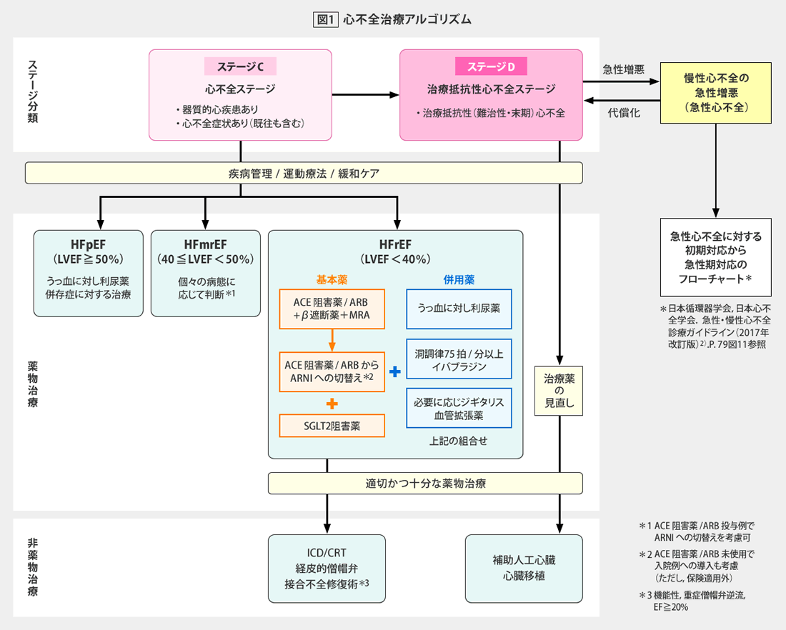 循環器病対策、心不全治療の新たな展開 | 同友会メディカルニュース