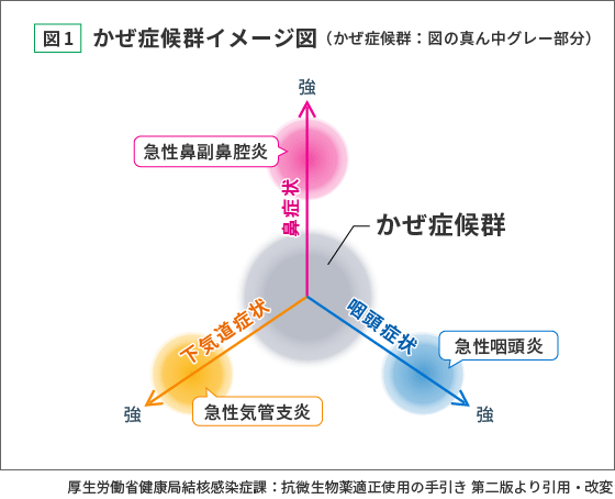 かぜ症候群イメージ図