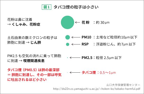 図1：タバコ煙の粒子は小さい