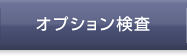 オプション検査