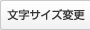 文字サイズ