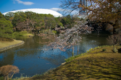 小石川後楽園