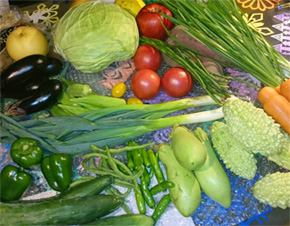 季節の野菜1