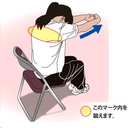 背中のストレッチ