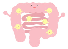 腸内細菌とは？